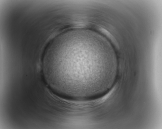 X0000088641449200706011154