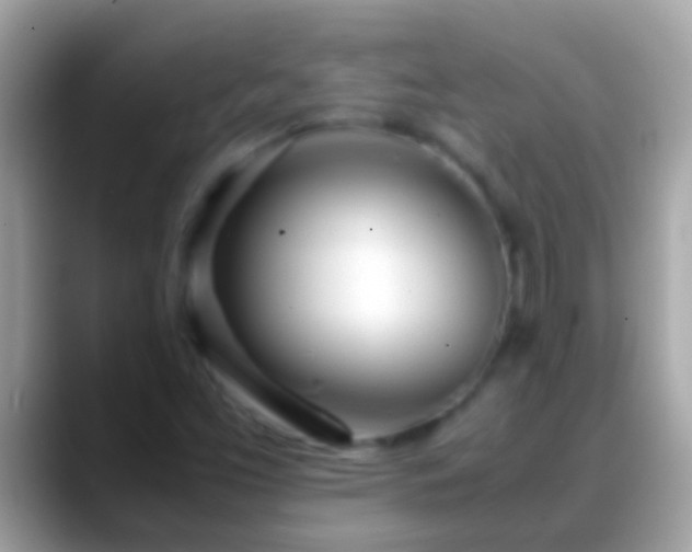X0000088641453200706011154