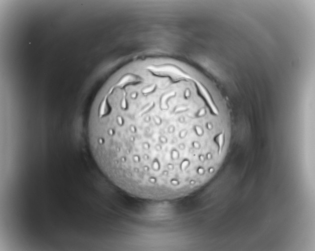 X0000088641454200706011154