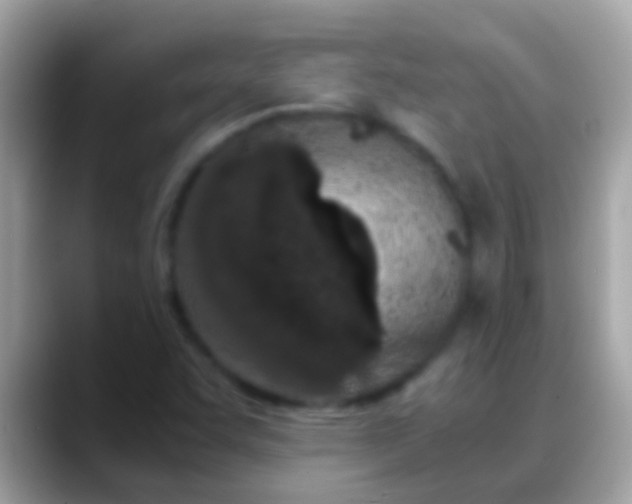 X0000088641455200706011154