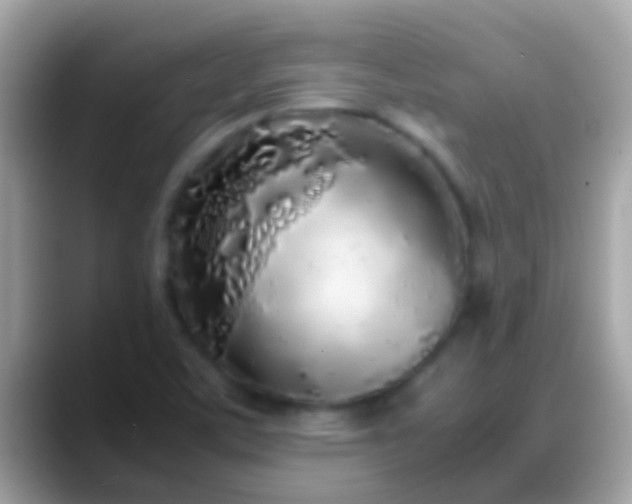 X0000088641459200706011154