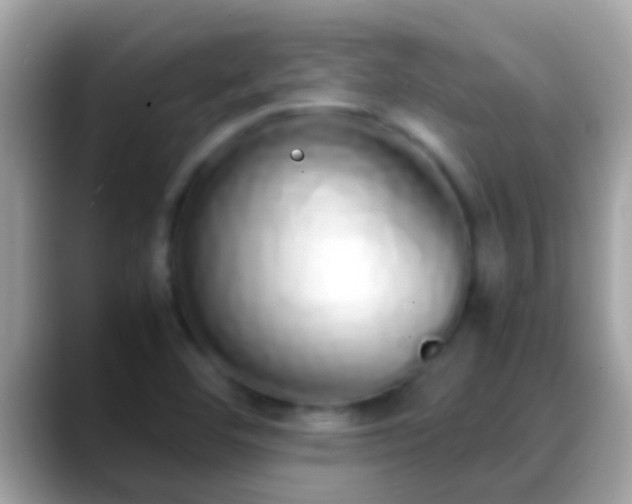 X0000088641460200706011154
