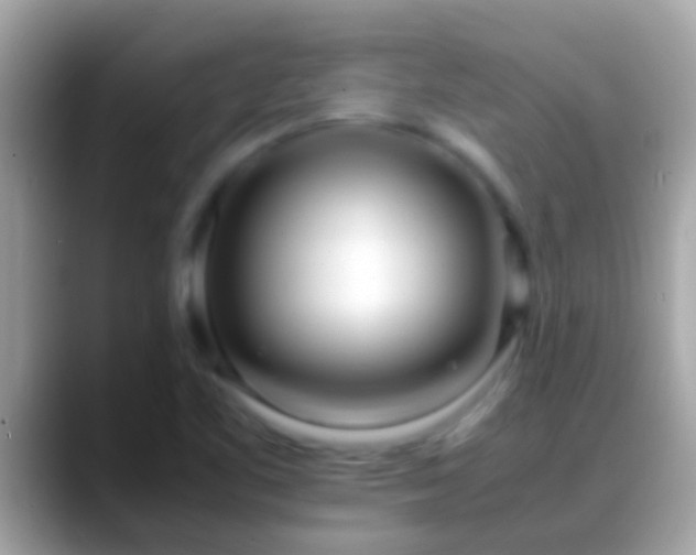 X0000088641461200706011154