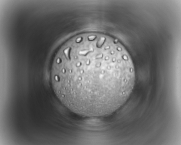 X0000088641462200706011154