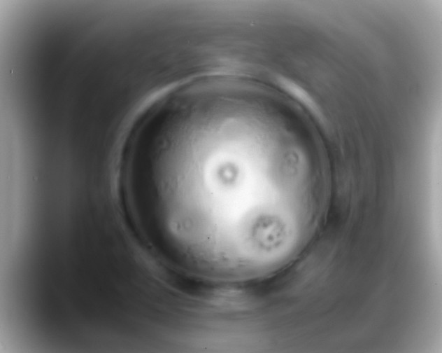 X0000088641463200706011154