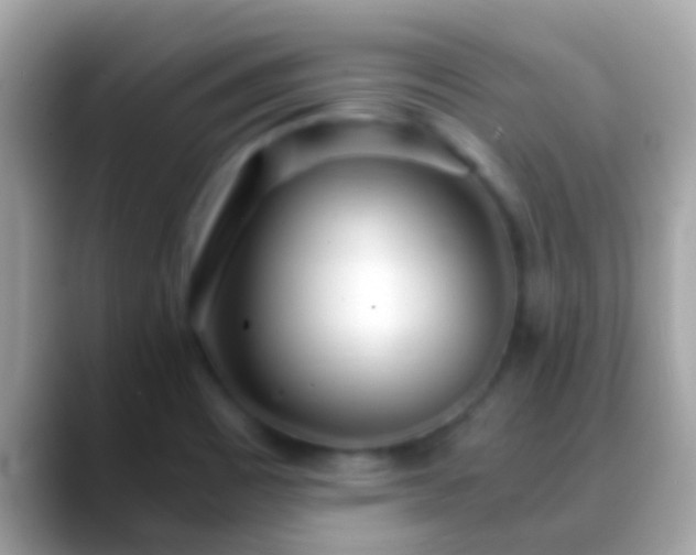 X0000088641465200706011154