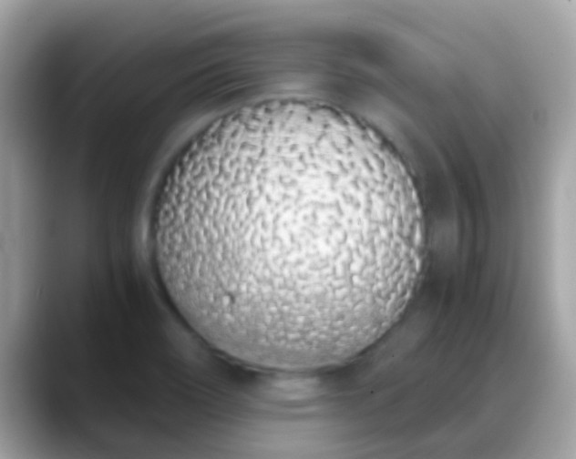 X0000088641466200706011154