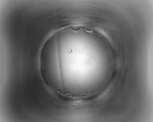 X0000088641467200706011154
