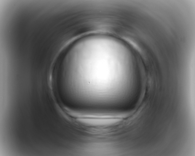 X0000088641468200706011154