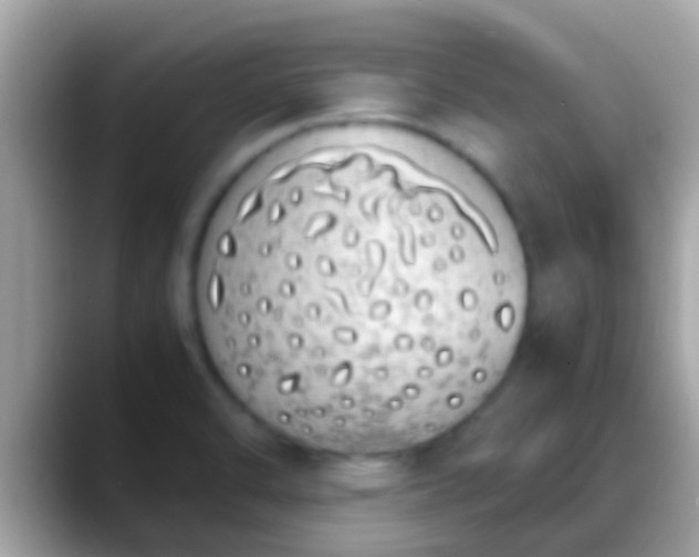 X0000088641470200706011154