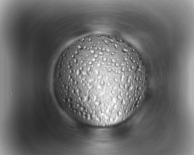 X0000088641471200706011154