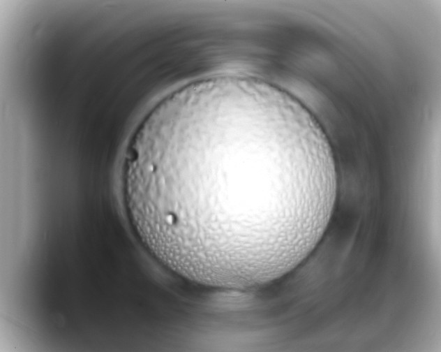 X0000088641478200706011153