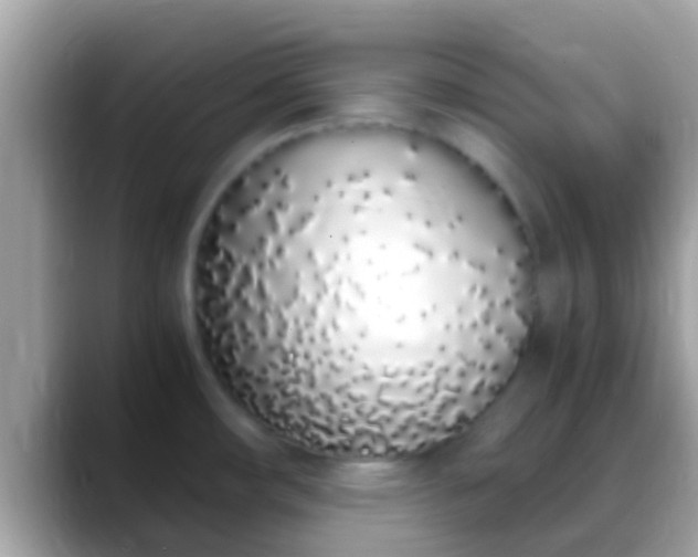X0000088641482200706011153