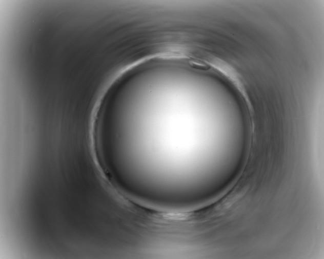 X0000088641488200706011153