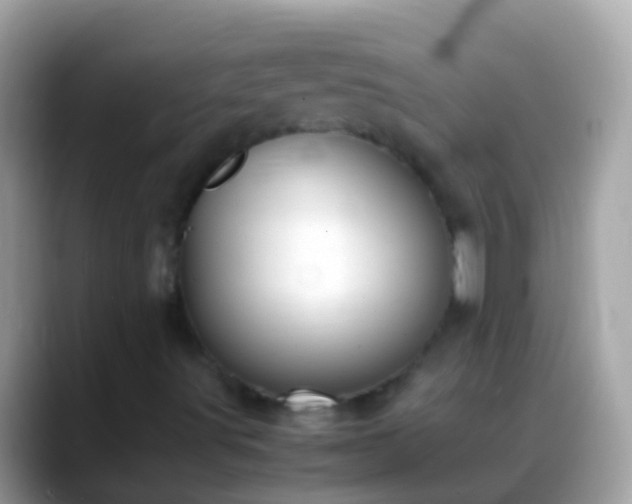 X0000088641491200706011153