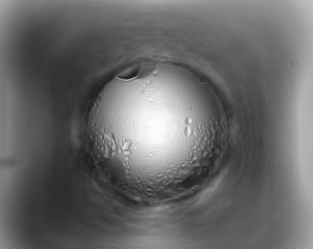 X0000088641494200706011153