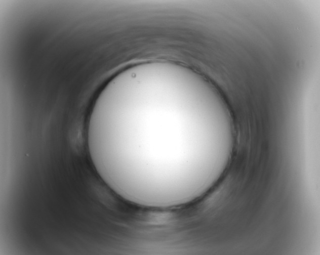 X0000088641498200706011153