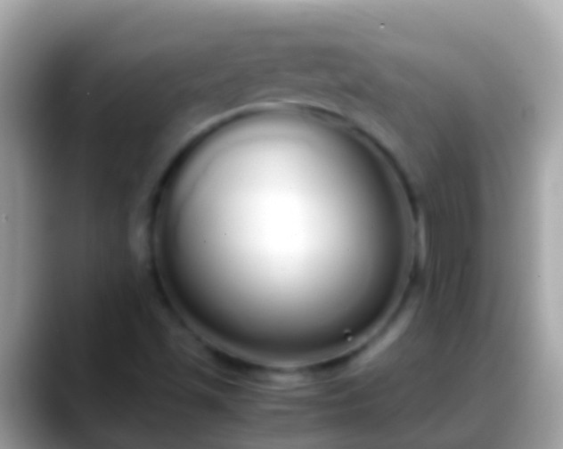 X0000088641501200706011153