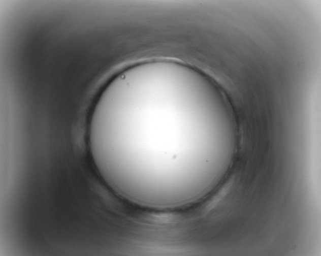 X0000088641502200706011153