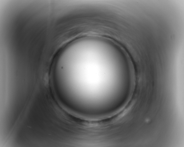X0000088641505200706011153
