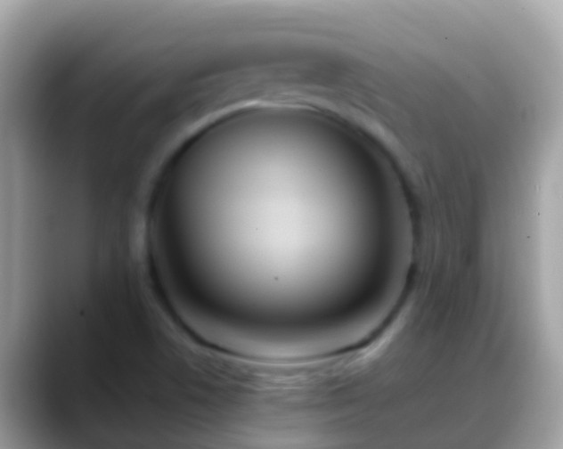 X0000088641506200706011153