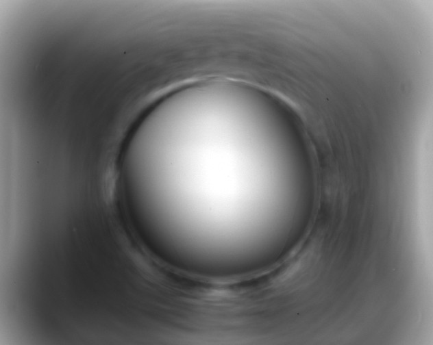 X0000088641507200706011153