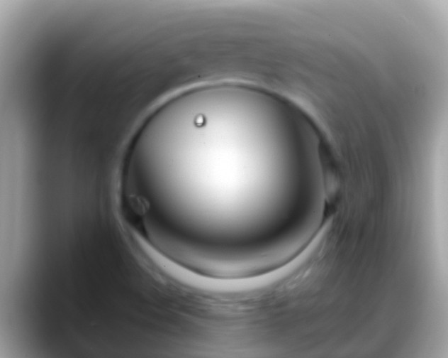 X0000088641508200706011153