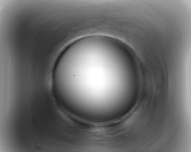 X0000088641511200706011153