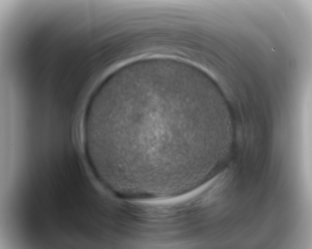 X0000088641515200706011153