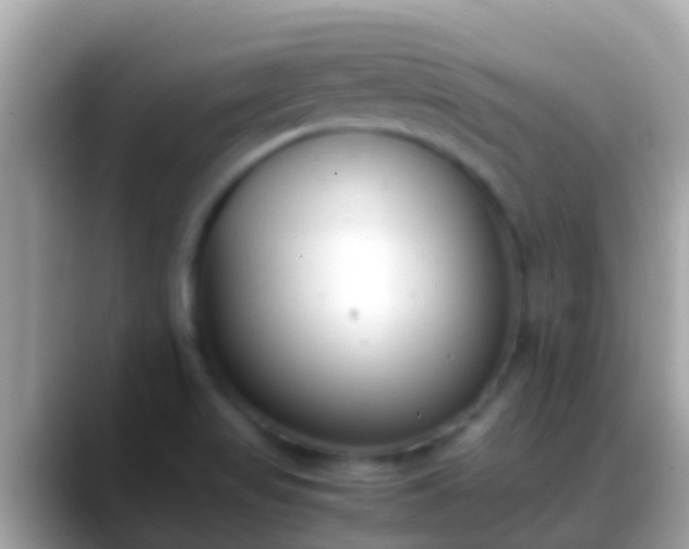 X0000088641517200706011153