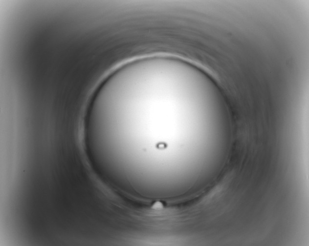 X0000088641518200706011153