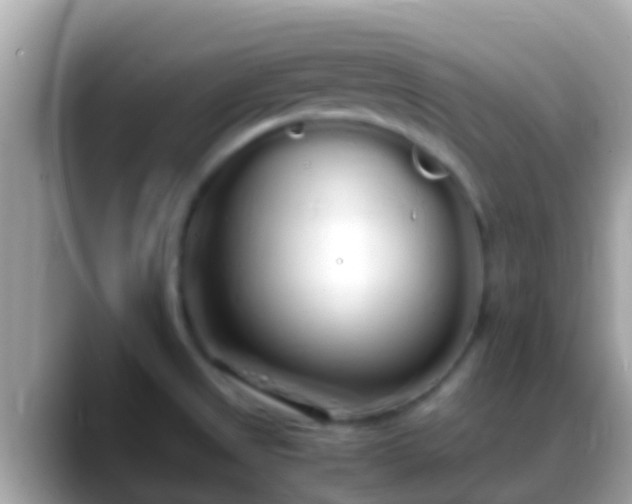 X0000088641525200706011153