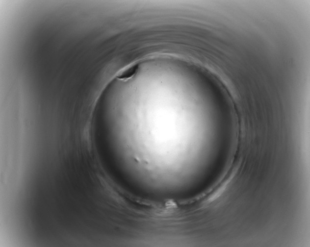 X0000088641529200706011153