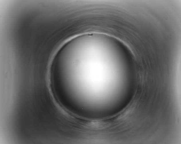 X0000088641531200706011153