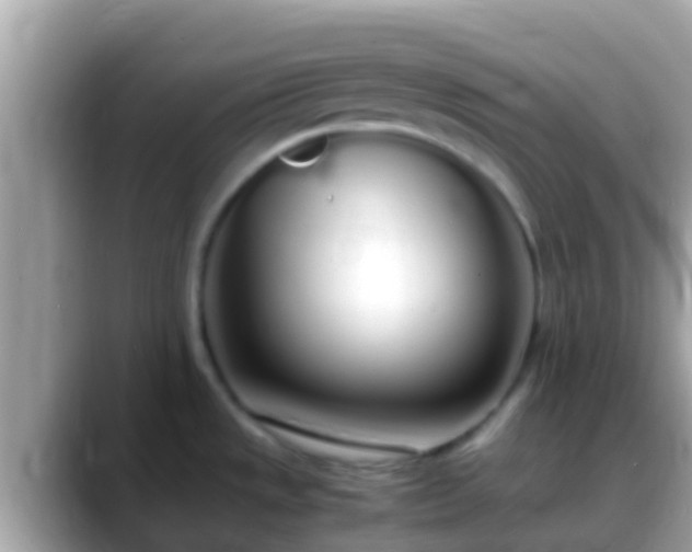 X0000088641533200706011153