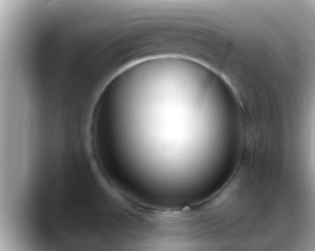X0000088641534200706011153