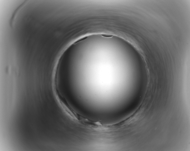 X0000088641536200706011153