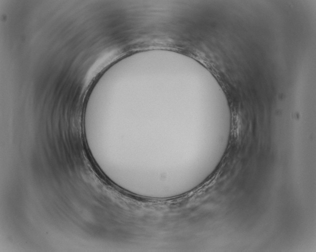 X0000088640004200706081624