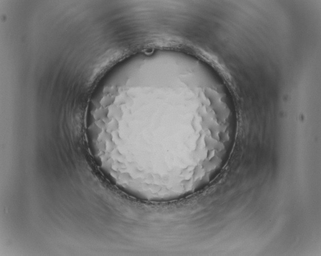 X0000088640010200706081624