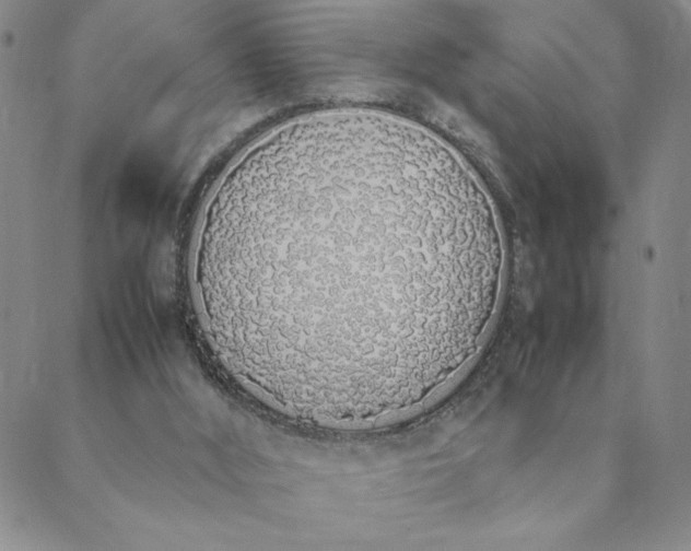 X0000088640012200706081624