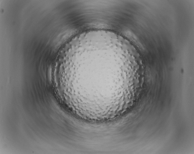X0000088640014200706081624