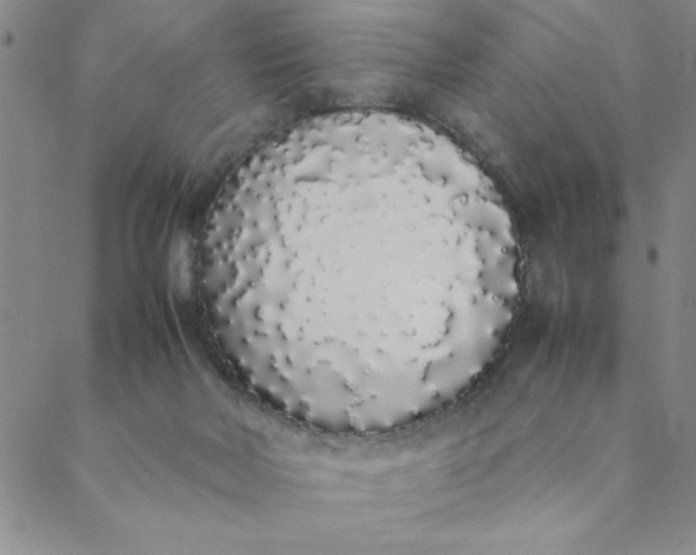 X0000088640026200706081624