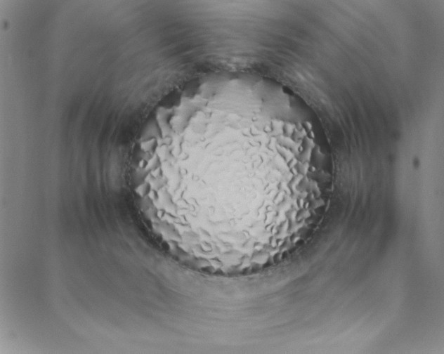 X0000088640030200706081624