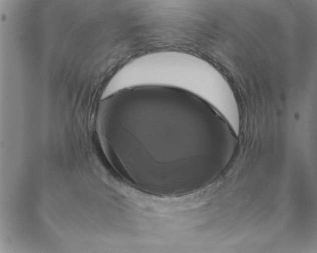 X0000088640039200706081623