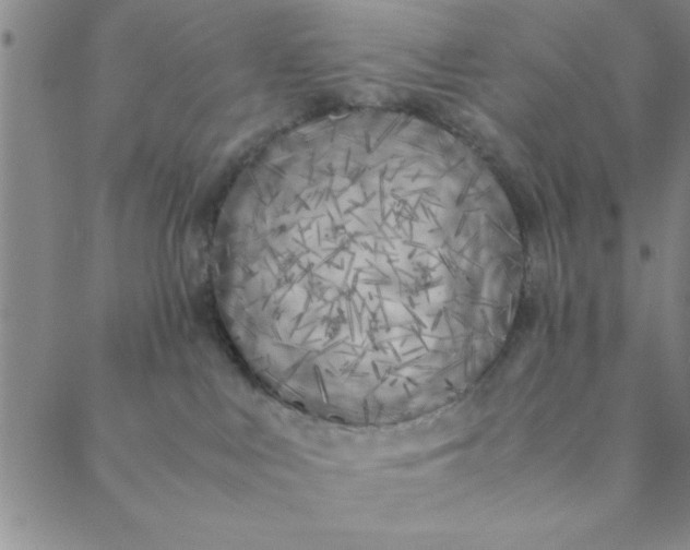 X0000088640043200706081623