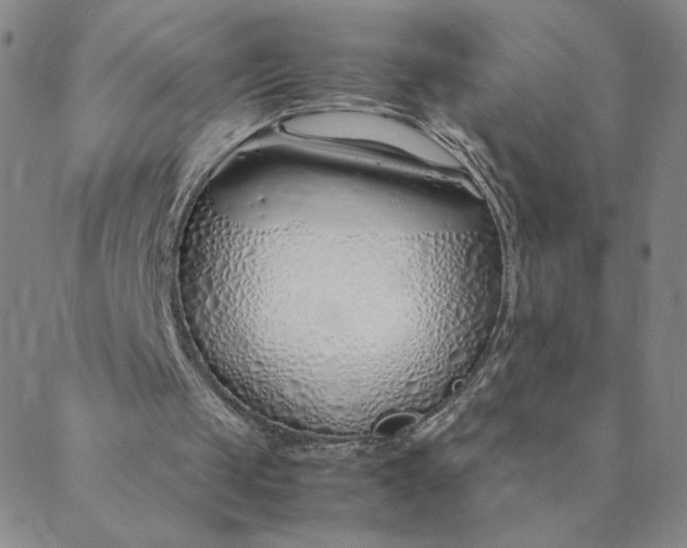 X0000088640049200706081623