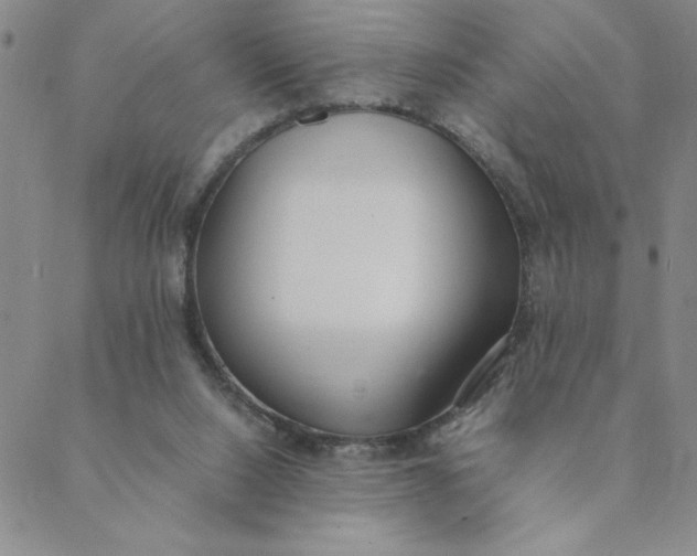 X0000088640064200706081623