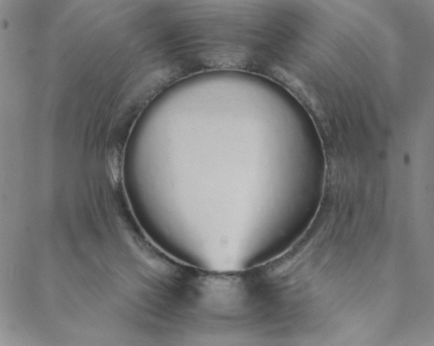 X0000088640069200706081623