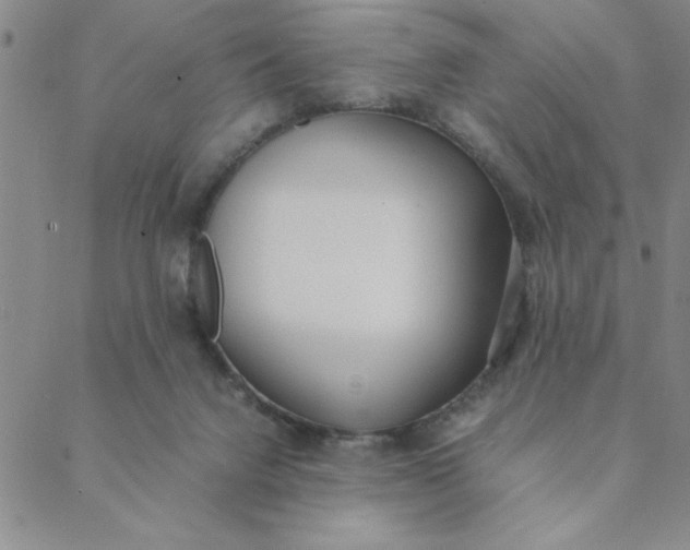 X0000088640072200706081623