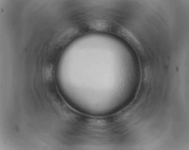 X0000088640073200706081623